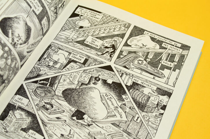extrait de Boris l'enfant patate, d'Anne Simon aux éditions Misma