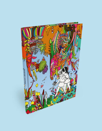 Couverture du livre Histoire Décolorée d'Amandine Meyer aux éditions Misma