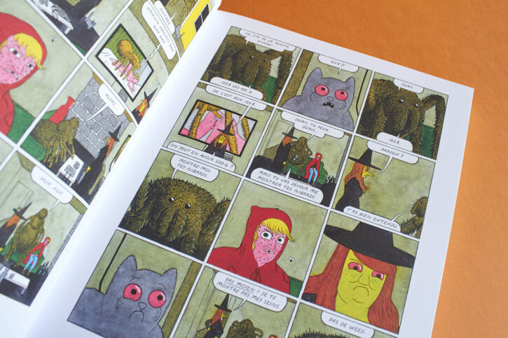 extrait du livre Megg, Mogg & Owl Happy Fucking Birthday de Simon Hanselmann chez Misma