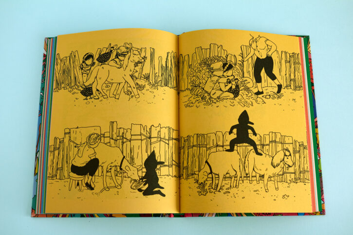 Extrait du livre Histoire Décolorée d'Amandine Meyer aux éditions Misma