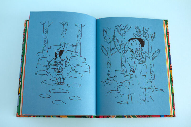 Extrait du livre Histoire Décolorée d'Amandine Meyer aux éditions Misma