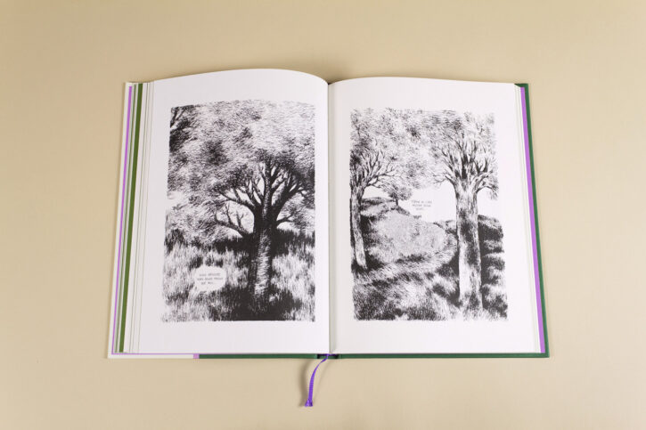 Extrait du livre Kimi le vieux chien de Nylso aux éditions Misma