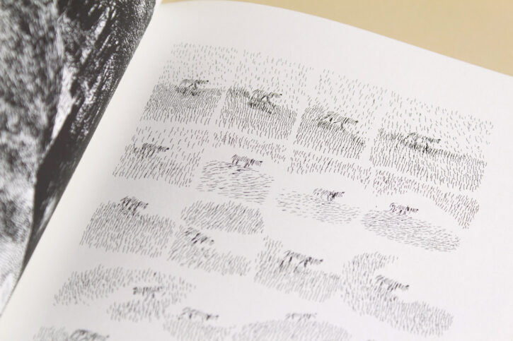 Extrait du livre Kimi le vieux chien de Nylso aux éditions Misma
