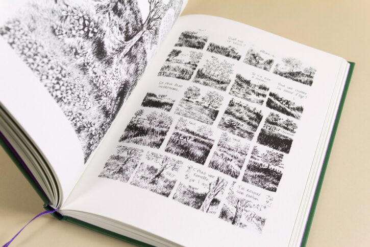 Extrait du livre Kimi le vieux chien de Nylso aux éditions Misma