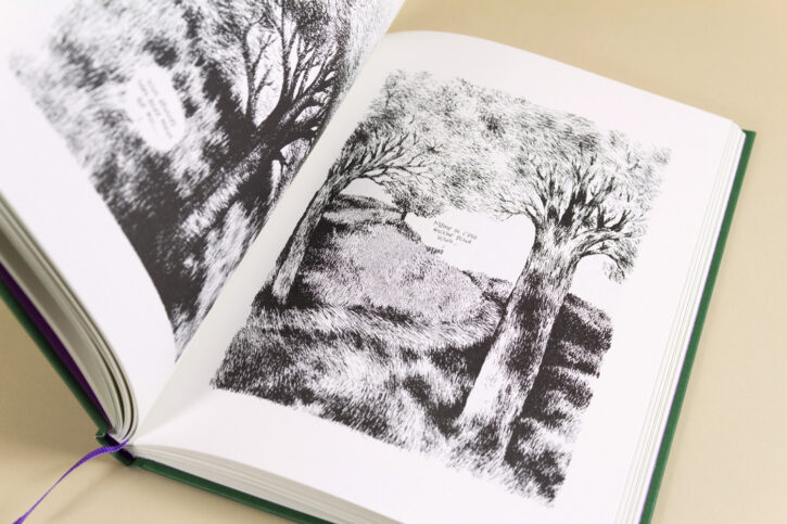 Extrait du livre Kimi le vieux chien de Nylso aux éditions Misma