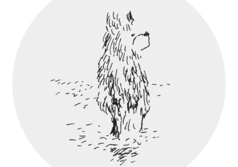 Image de profil Nylso
