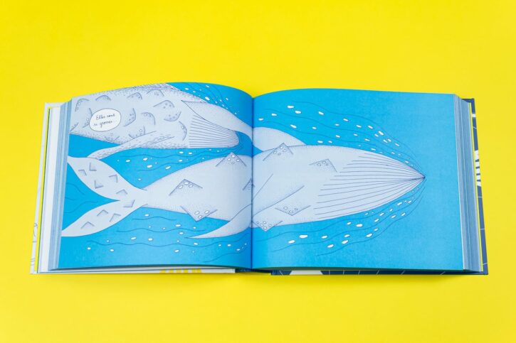 Un beau voyage de Delphine Panique aux éditions MISMA