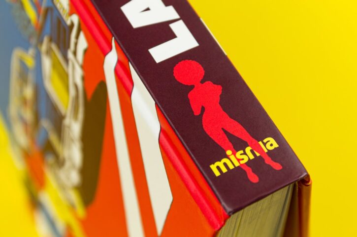 La Méthode Gemini, le nouveau livre de Magius chez Misma éditions