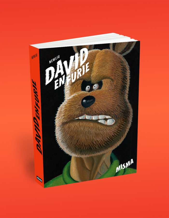 David en furie, de Newliu chez Misma éditions