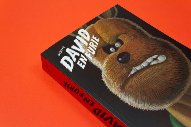 David en furie, de Newliu chez Misma éditions
