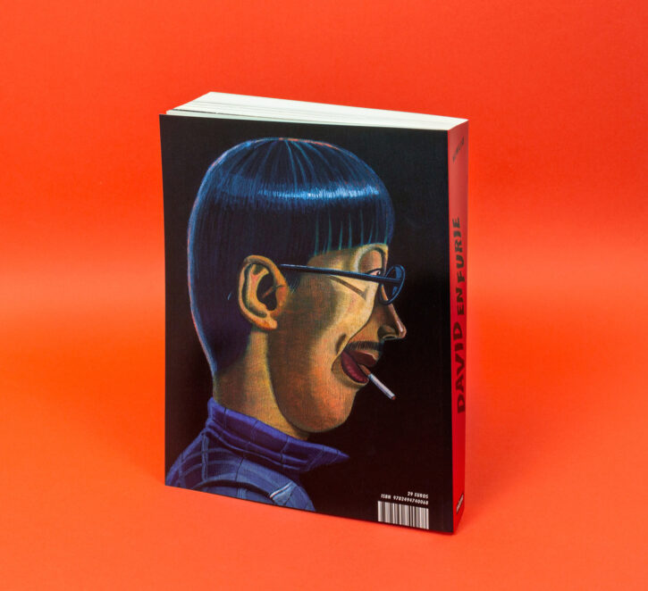 David en furie, de Newliu chez Misma éditions