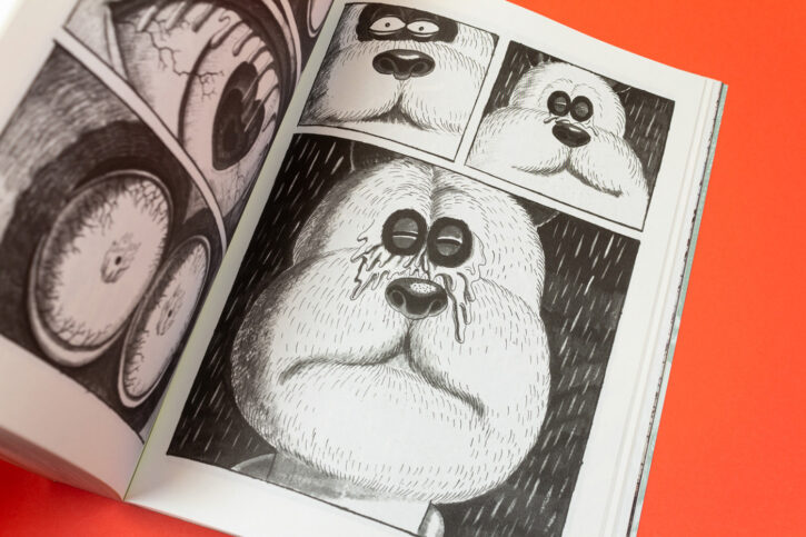 David en furie, de Newliu chez Misma éditions