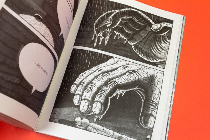 David en furie, de Newliu chez Misma éditions
